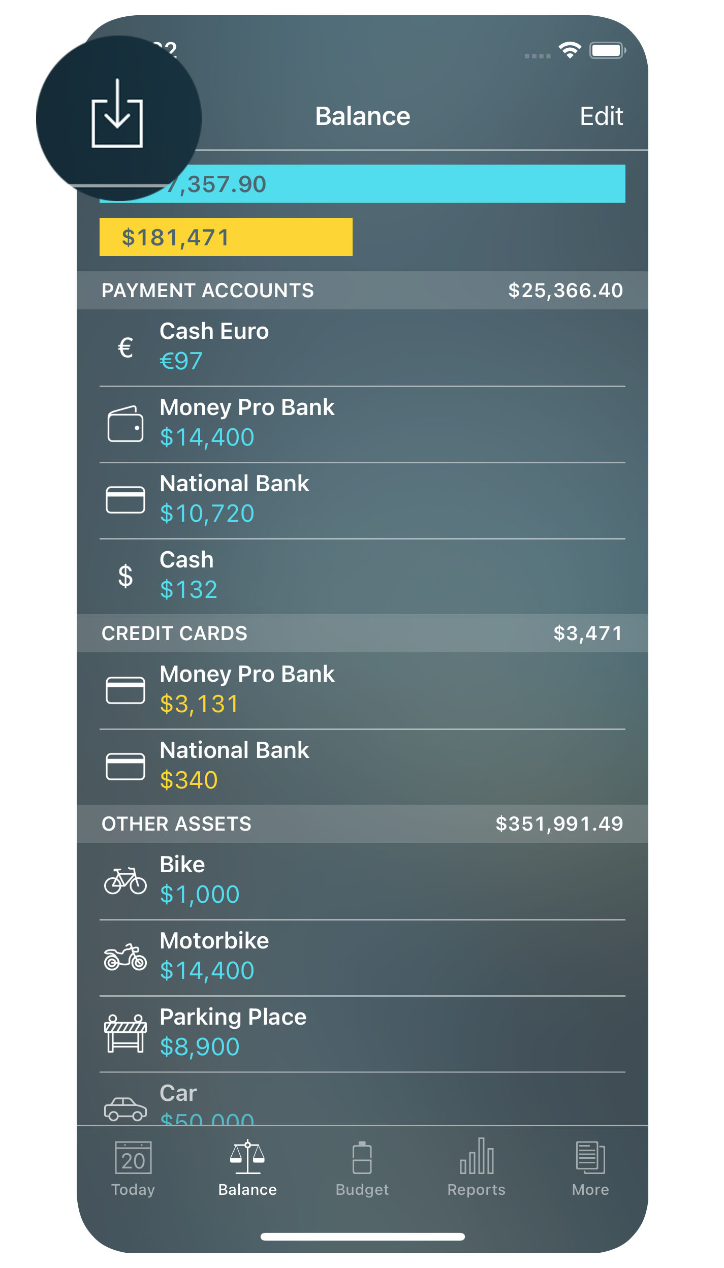 Money Pro - OFX, CSV import - iPhone