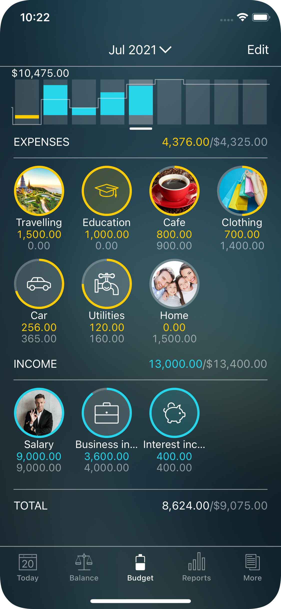 Money Pro - Tracking a budget (Budget widget) - iPhone