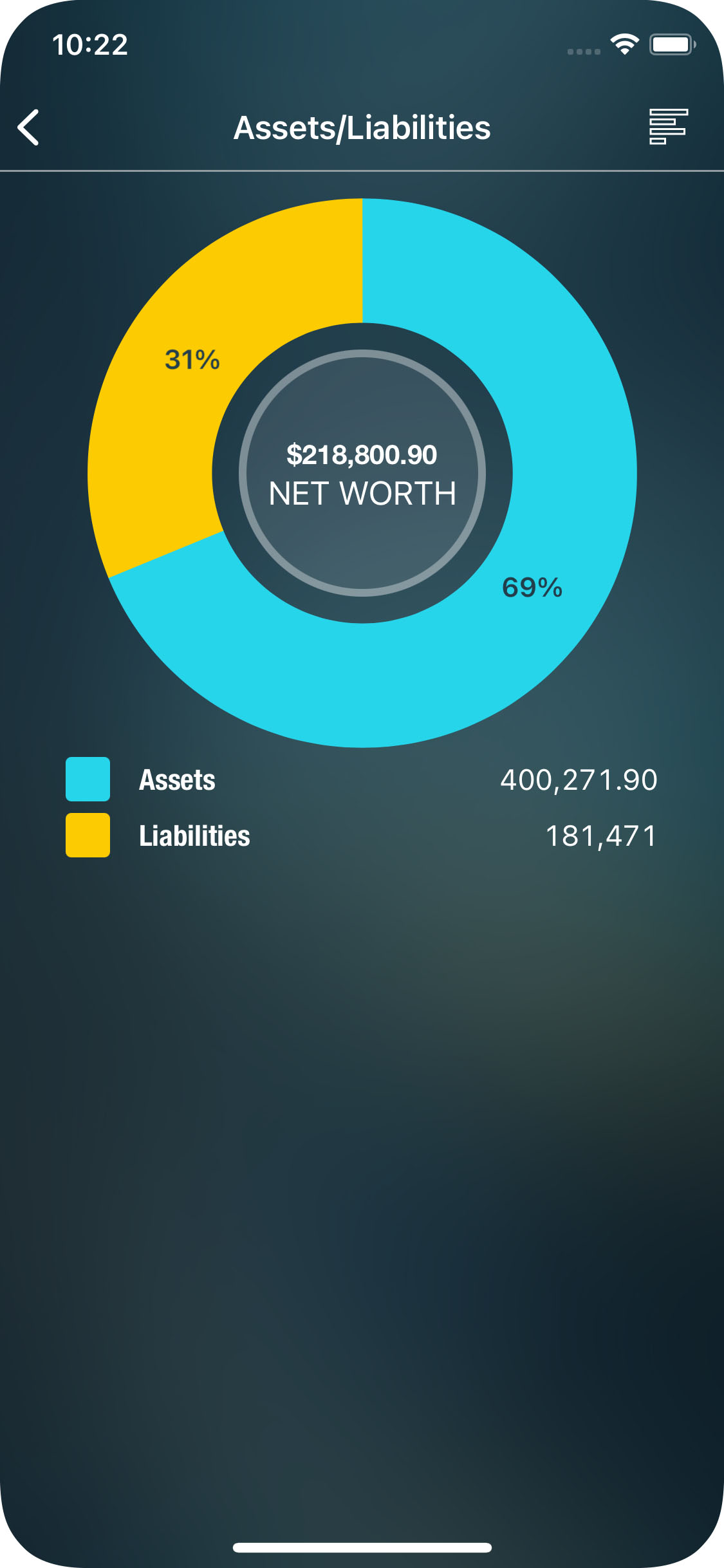 Money Pro - Assets/Liabilities report - iPhone